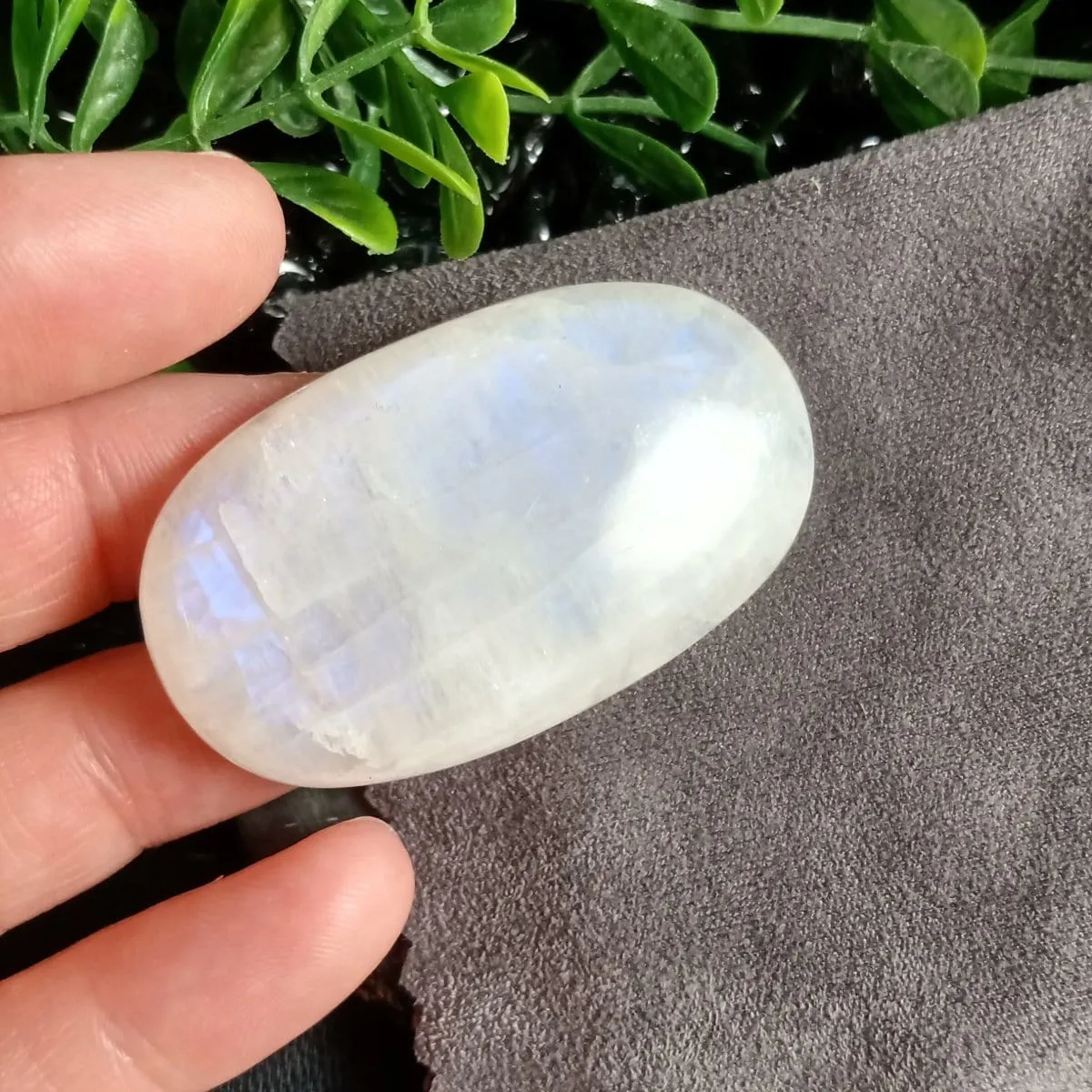 Rainbow Moonstone Cabochon (24.5 g)